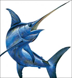 1-swordfish-1-drawing